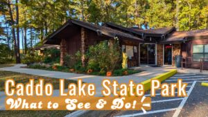 Read more about the article Field Trip to a Spooky Swamp at Caddo Lake State Park