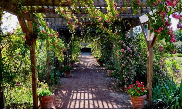 An Enchanting “Secret Garden” Awaits in Weatherford Texas – Visit Clark ...