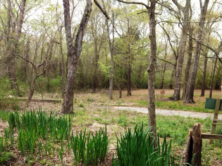 Spend a Peaceful Afternoon at the East Texas Arboretum - Field Trip Texas