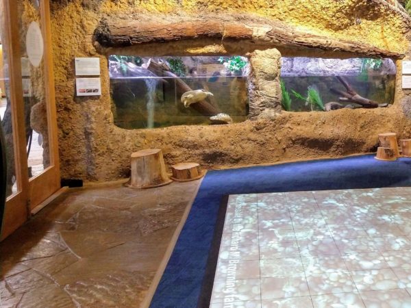 Visit an Interactive Nature Center in the Park - Field Trip Texas