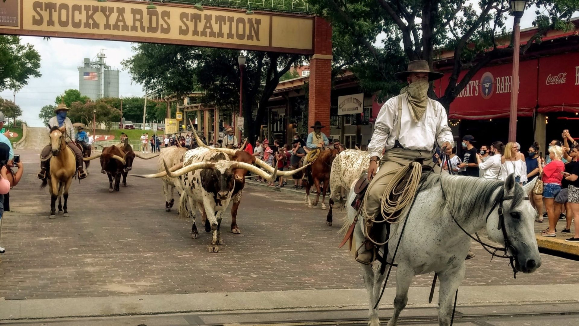 You are currently viewing See a Western Cattle Drive at the Stockyards