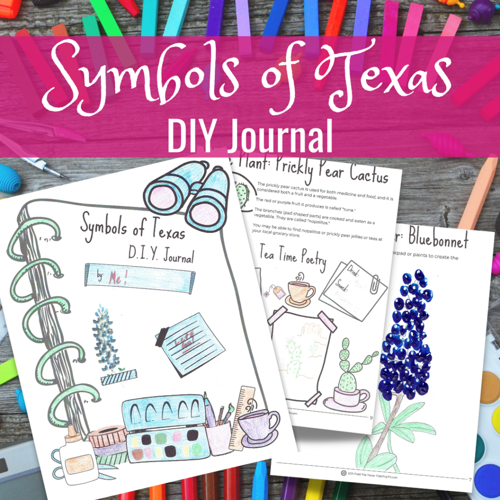 Symbols of Texas DIY Journal