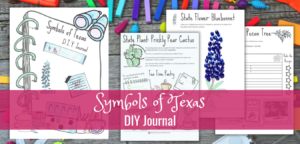 Read more about the article Symbols of Texas DIY Journal