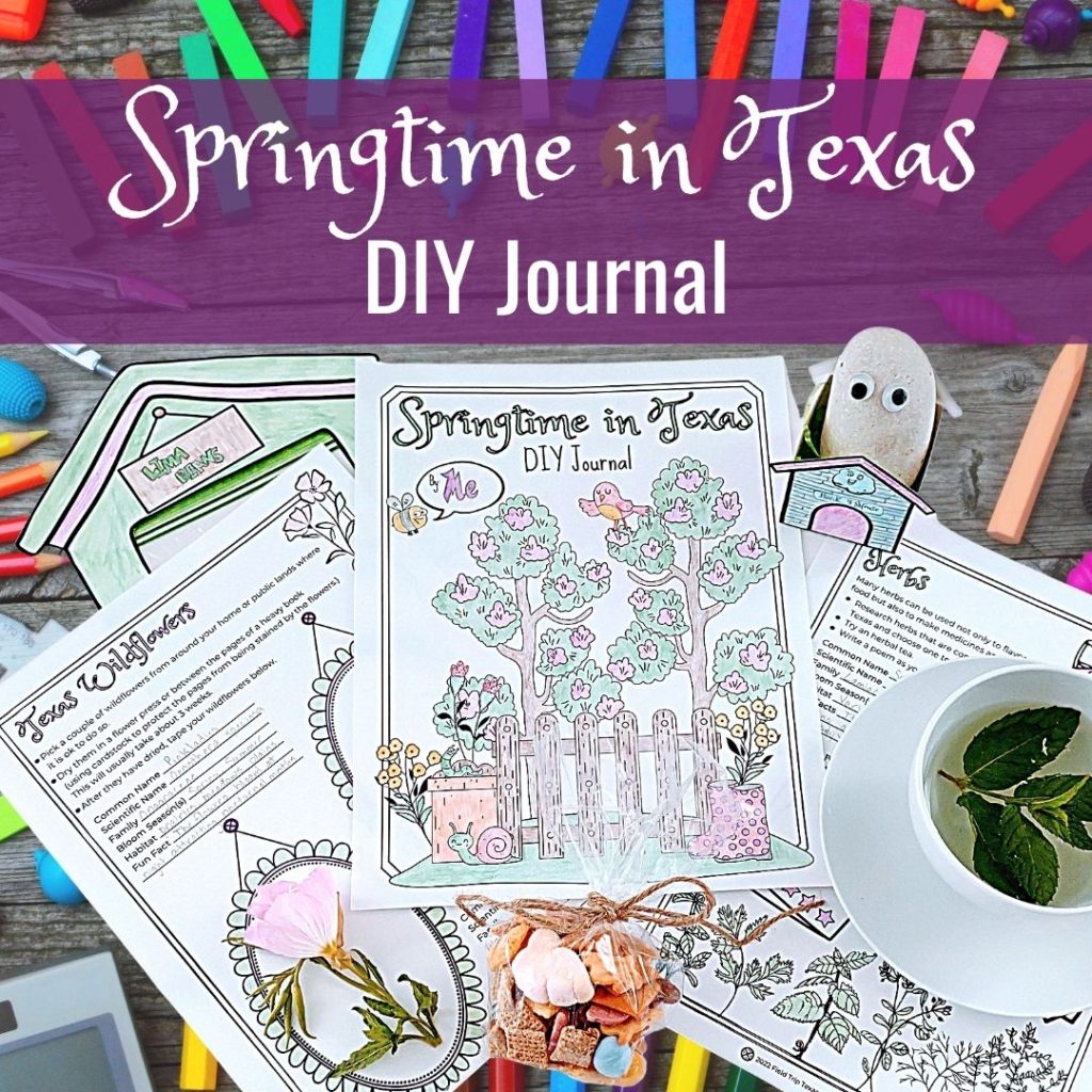 Springtime in Texas DIY Journal