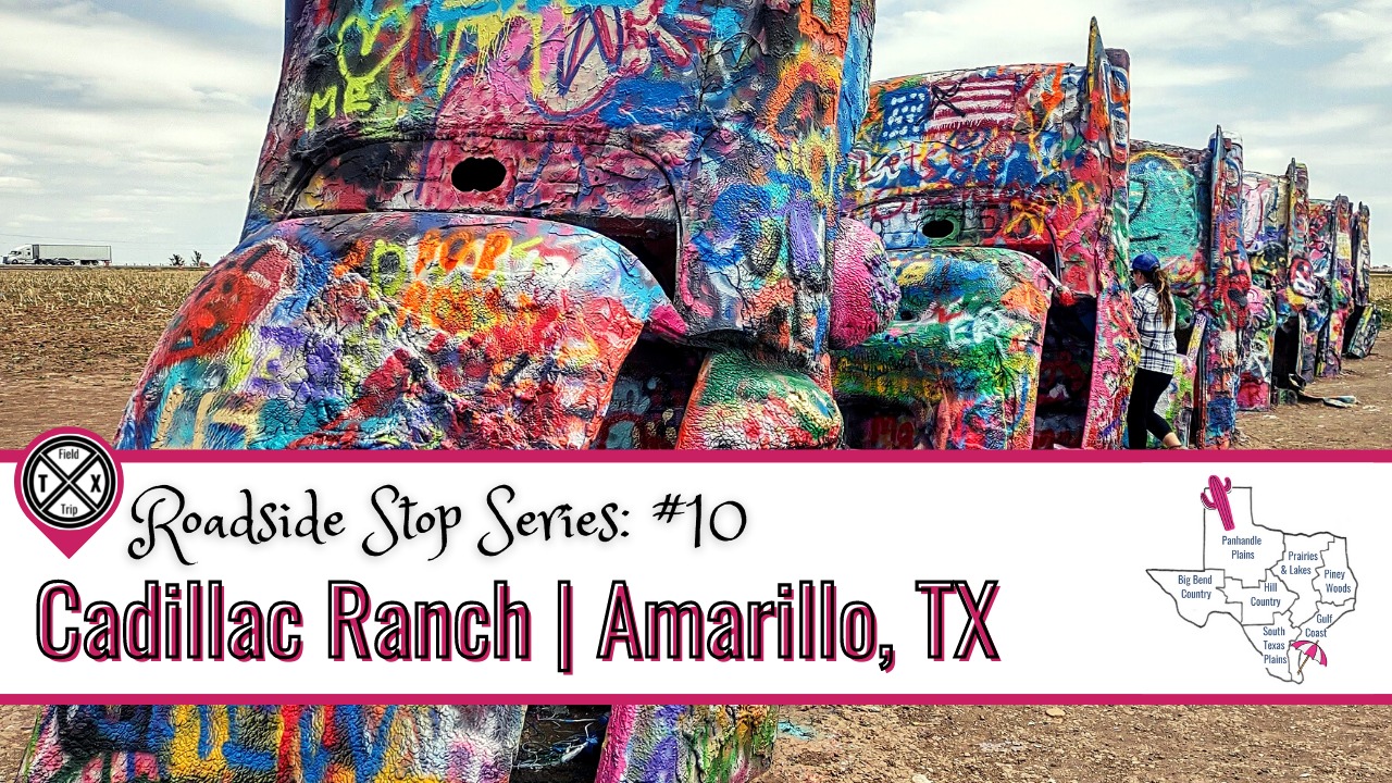 Read more about the article Cadillac Ranch | An Iconic Art Installation Half-Buried in the Texas Panhandle