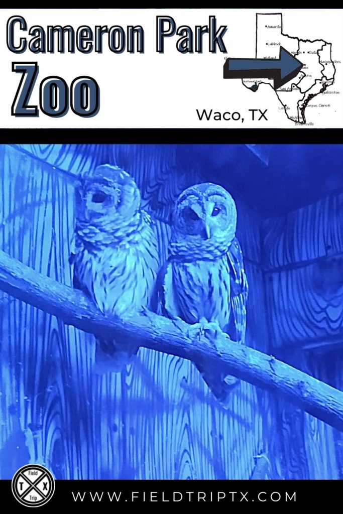 Waco Zoo Pin