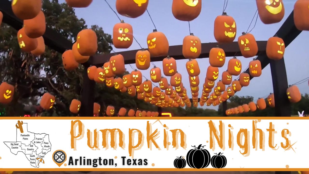Read more about the article See the Magic of 5,000 Glowing Pumpkins | Pumpkin Nights in Arlington, TX