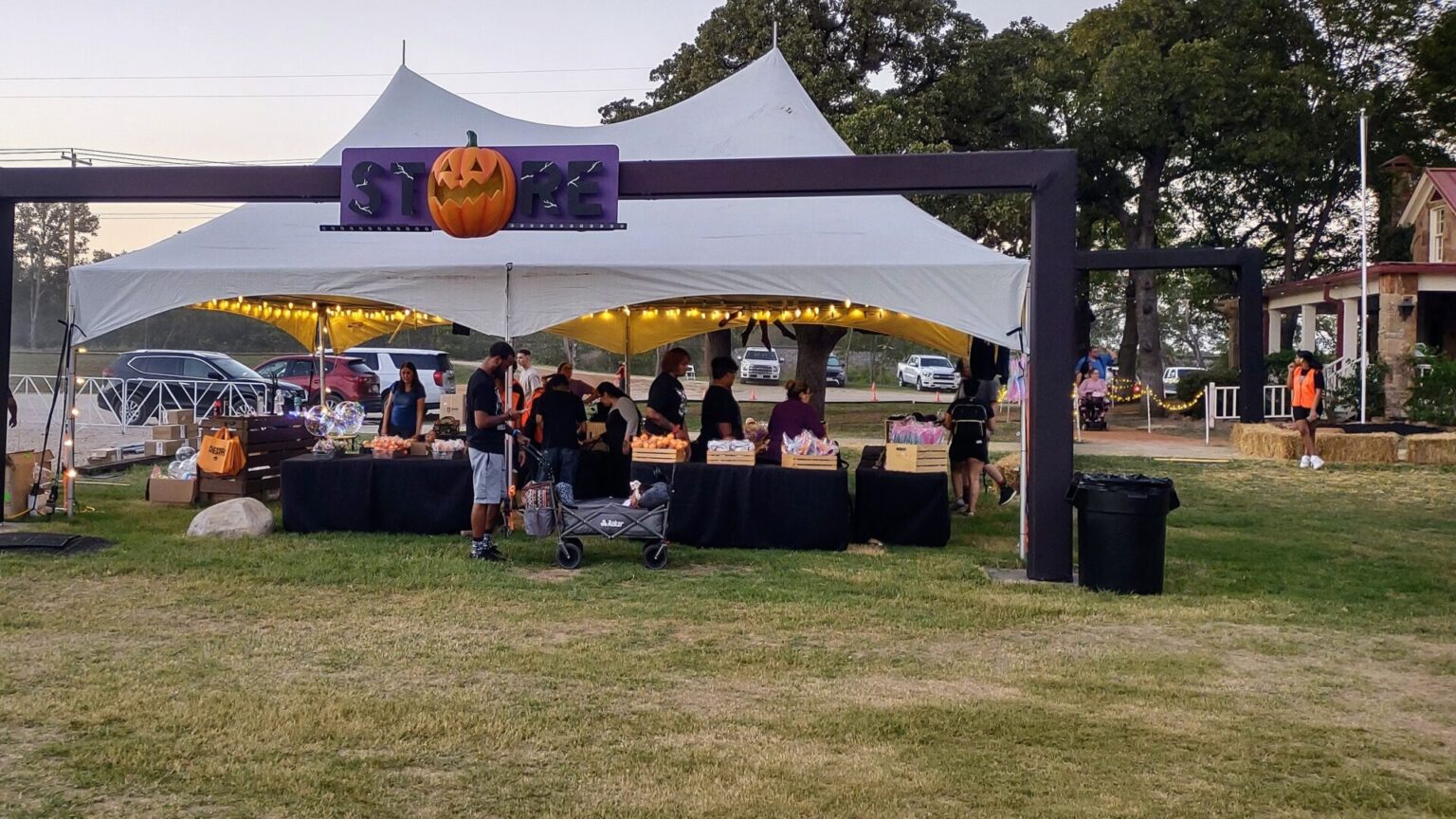 See the Magic of 5,000 Glowing Pumpkins Pumpkin Nights in Arlington