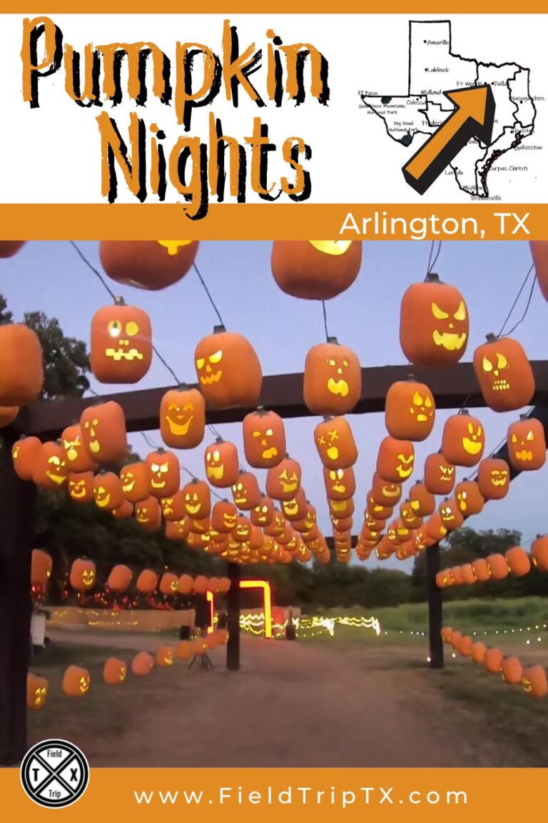 See the Magic of 5,000 Glowing Pumpkins Pumpkin Nights in Arlington