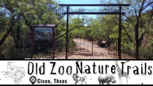 Read more about the article Hike Through an Abandoned Zoo | Old Zoo Trails in Cisco, TX