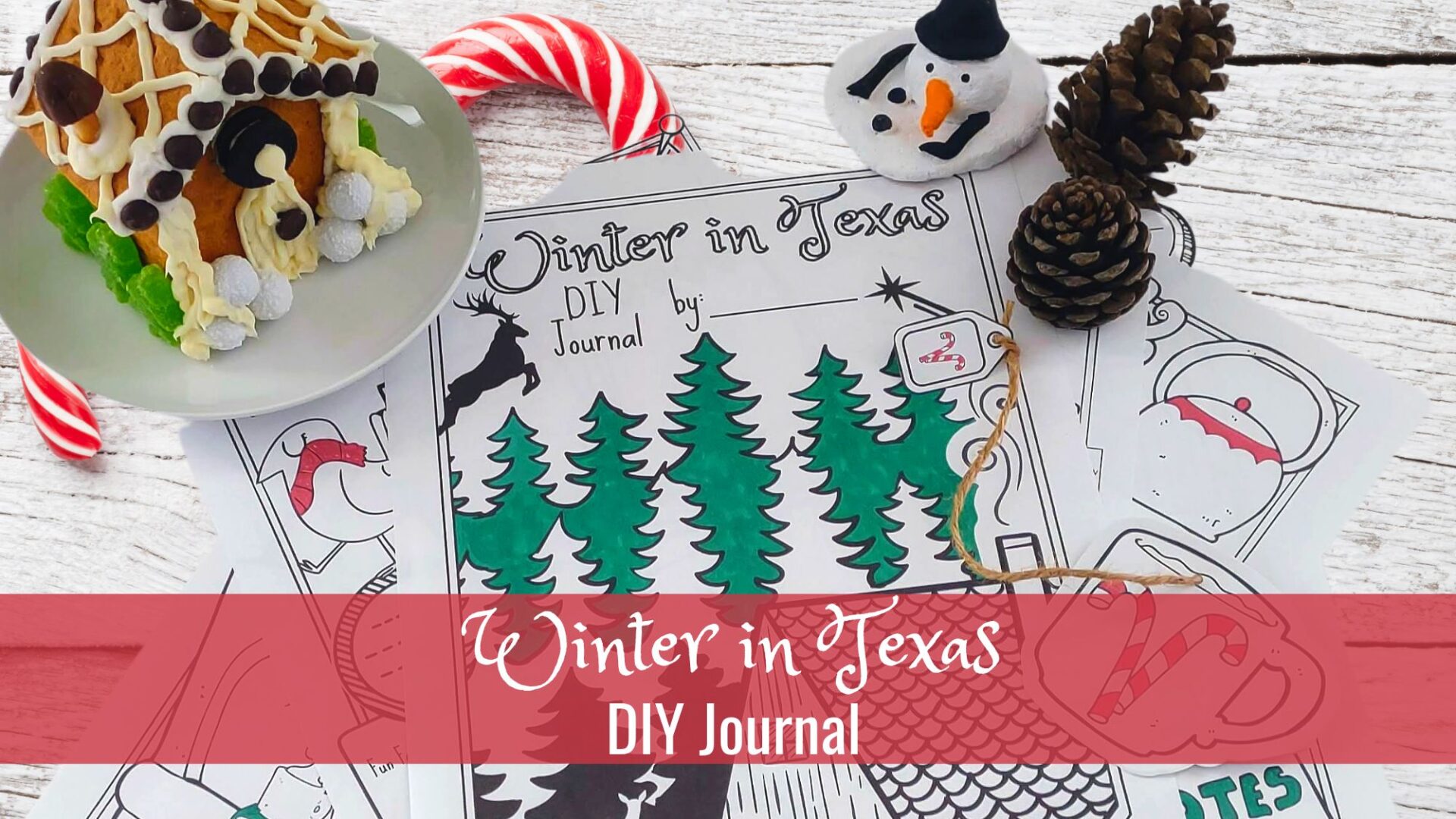 Read more about the article Winter in Texas DIY Journal