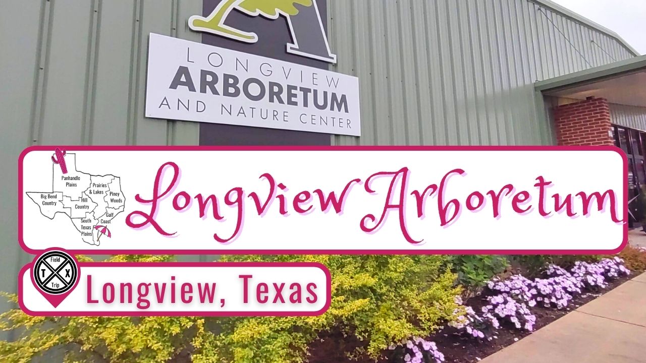Read more about the article This Garden in Longview, Texas is a Hidden Gem for Nature Lovers