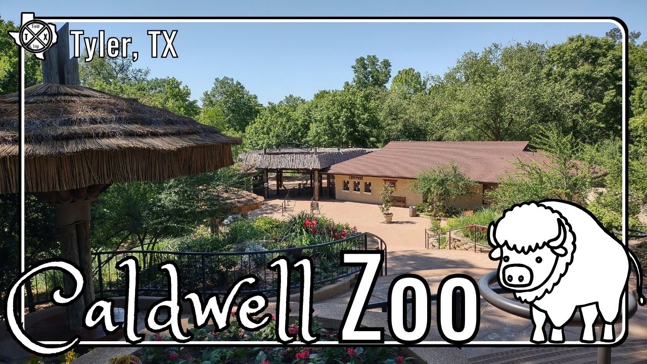 Read more about the article Tyler Zoo | Journey to Africa, the Americas, and Soon the Amazon River!
