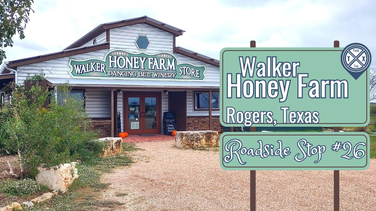 You are currently viewing Honeybees Shine at this Buzzworthy Farm in Central Texas