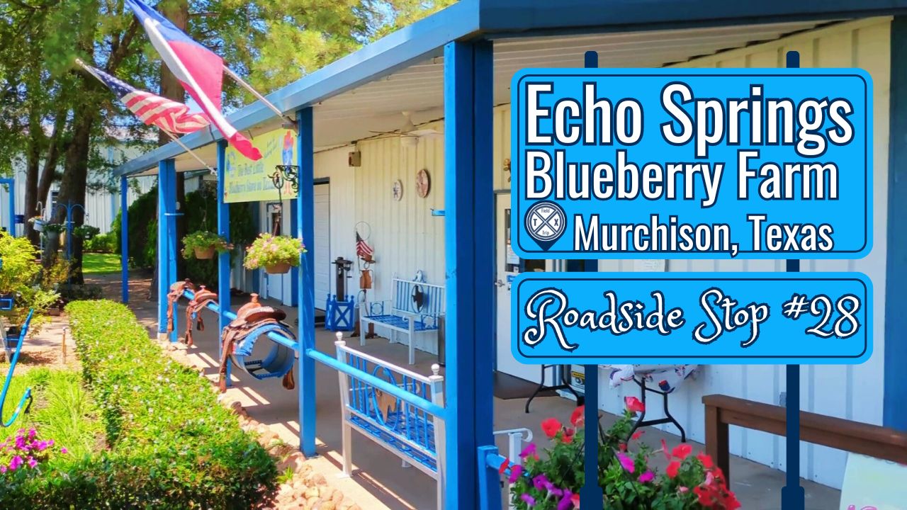 You are currently viewing North Texas Blueberry Farm Echo Springs is a Hidden Gem