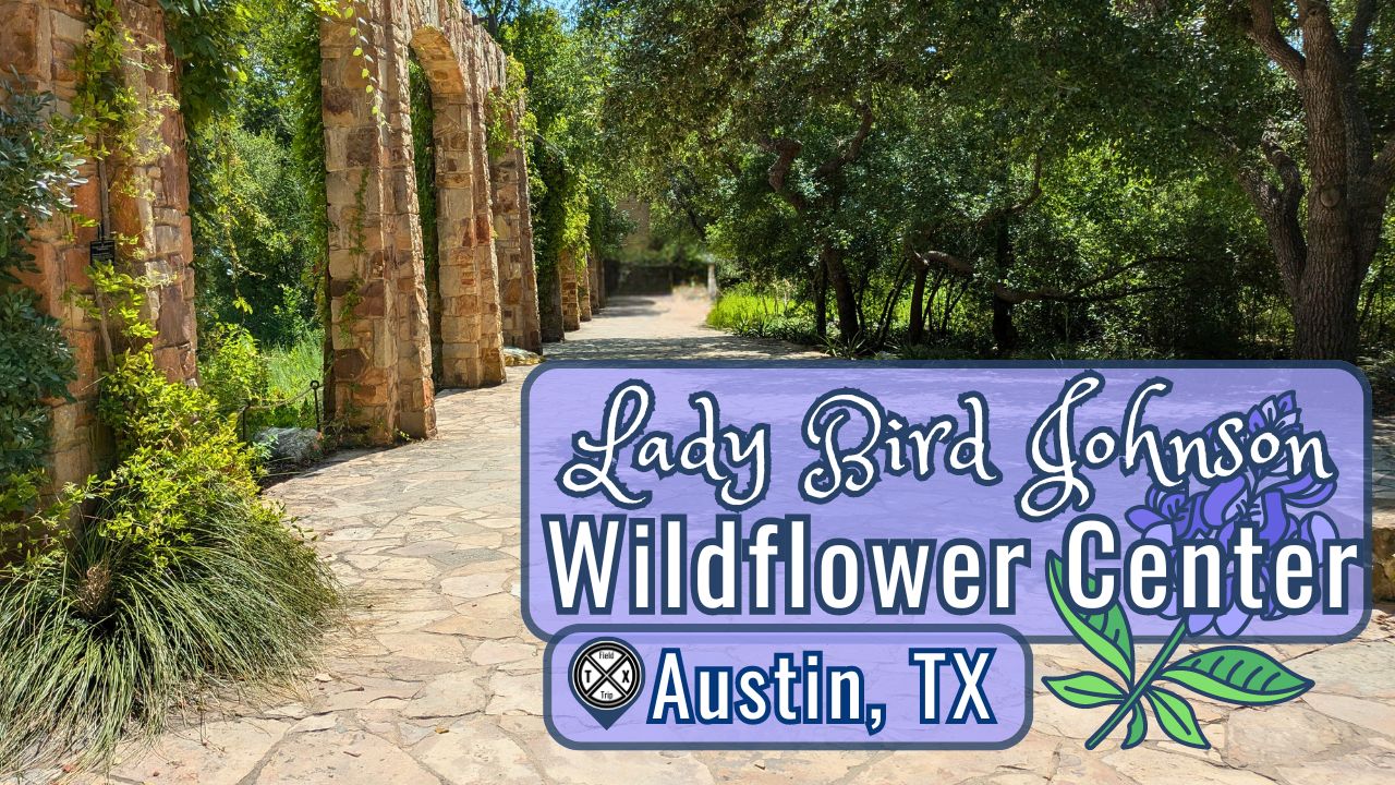 You are currently viewing Texas Wildflower Center Presents Native Plants and Conservation Within the Beauty of Garden Trails