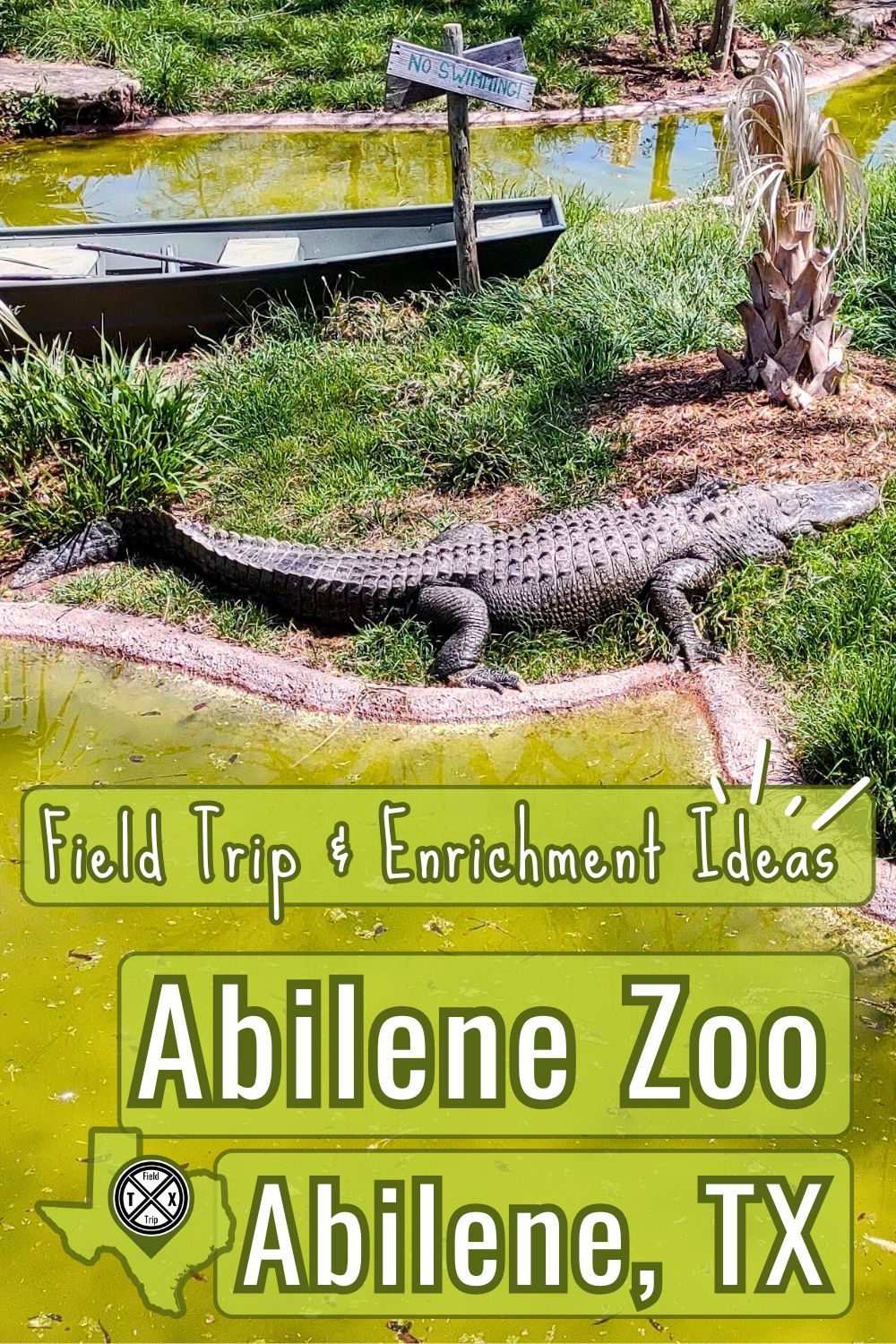 Explore the Family-Friendly Abilene Zoo in Texas - Field Trip Texas