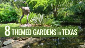 Read more about the article 8 Themed Gardens in Texas the Whole Family Will Love Exploring